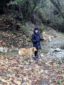 hiking
